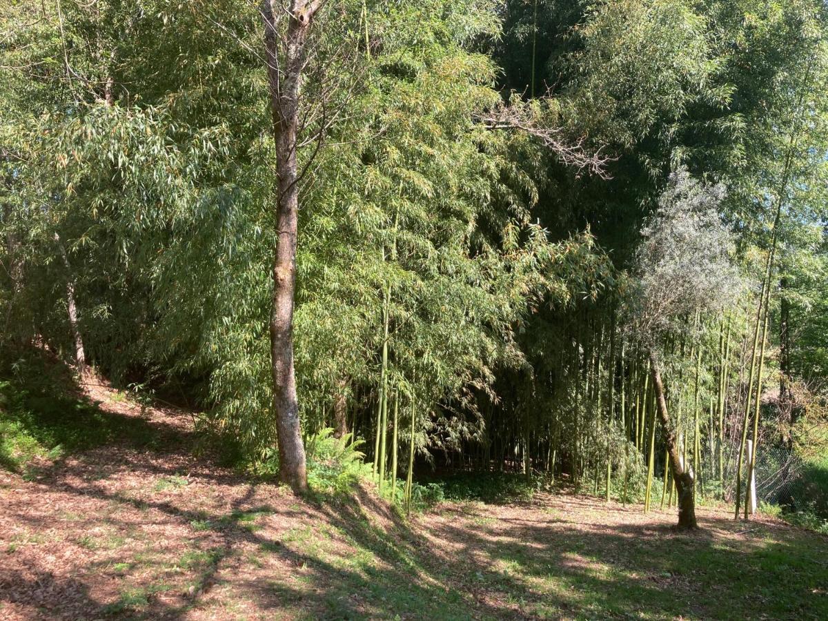 Casa Da Assudra Villa Vila Verde  Luaran gambar