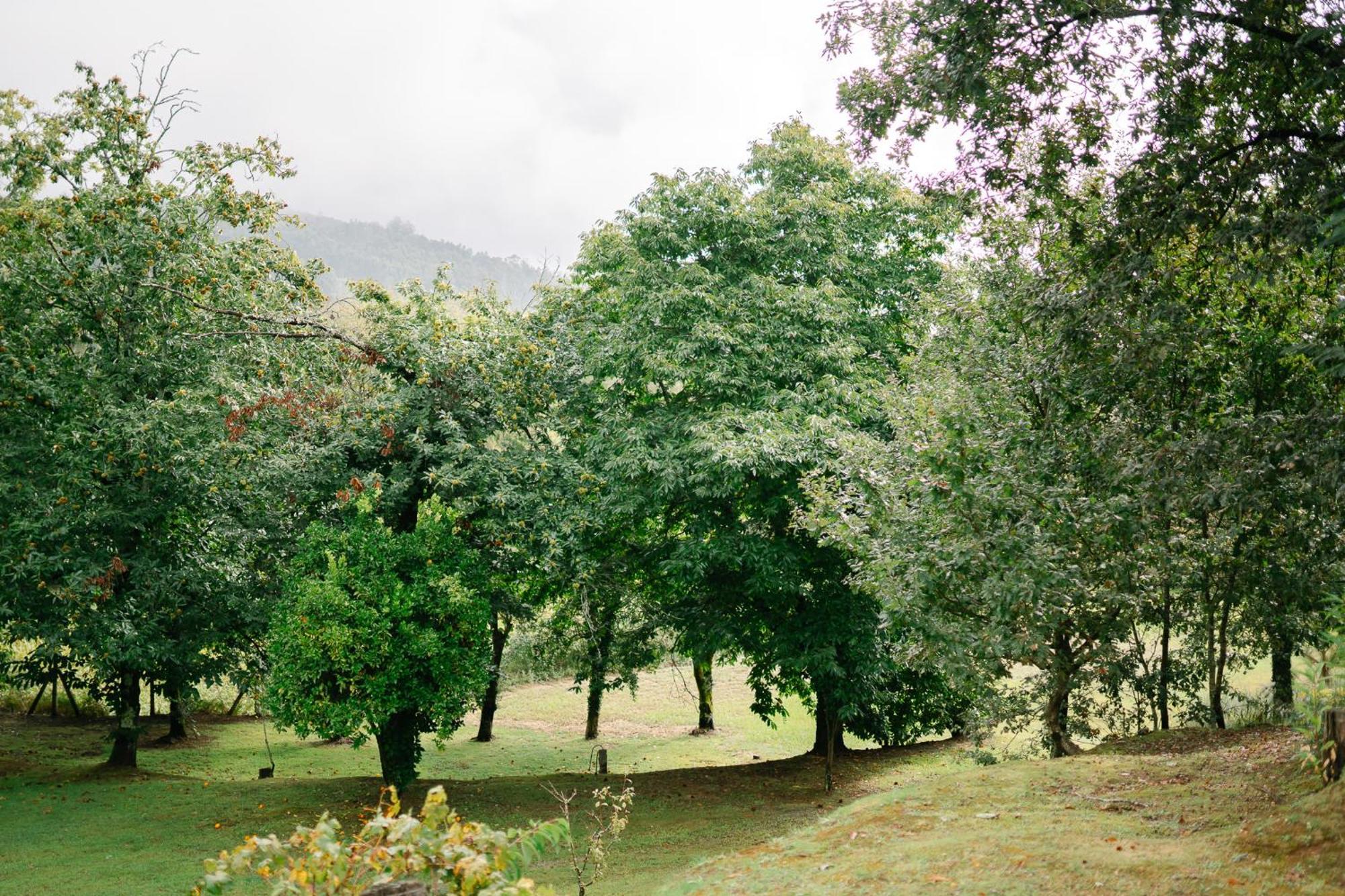 Casa Da Assudra Villa Vila Verde  Luaran gambar
