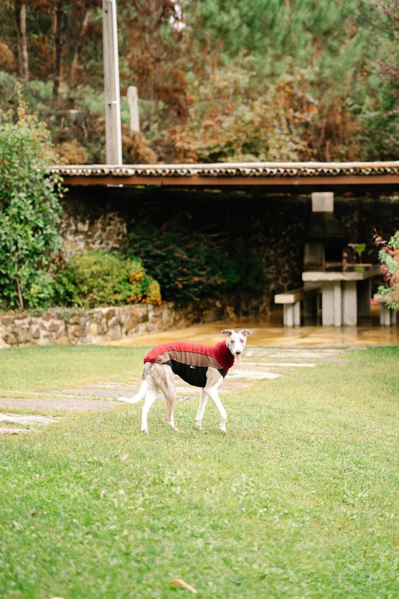 Casa Da Assudra Villa Vila Verde  Luaran gambar